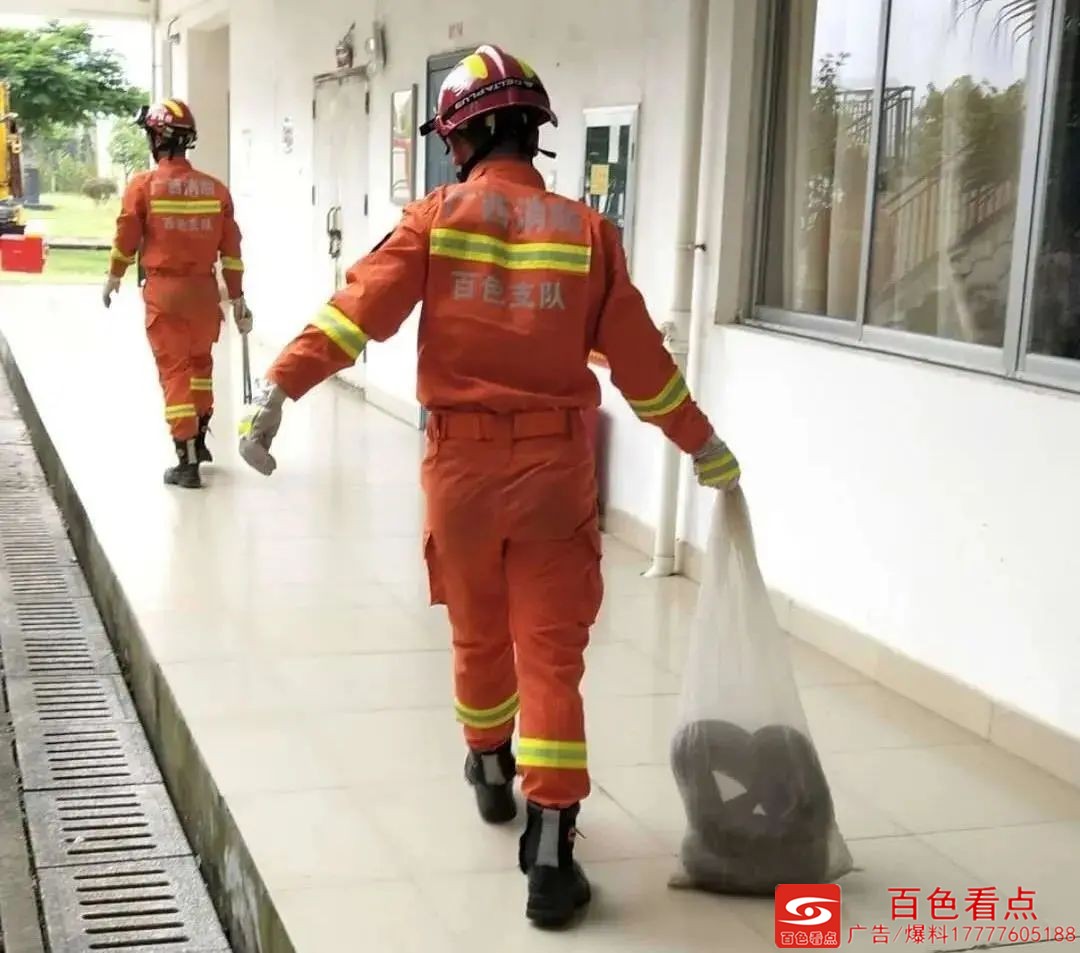 哎惹！这么大条的蟒蛇溜进学校、农场里！！ 这么,大条,蟒蛇,溜进,进学