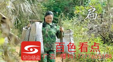 百色扁担姐，抚养87个孩子，其中20位考上清华北大 百色,扁担,抚养,孩子