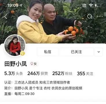 252万粉丝网红田野小凤走进凌云直播带好货--凌云白毫茶 252,252万,万粉,粉丝,粉丝网