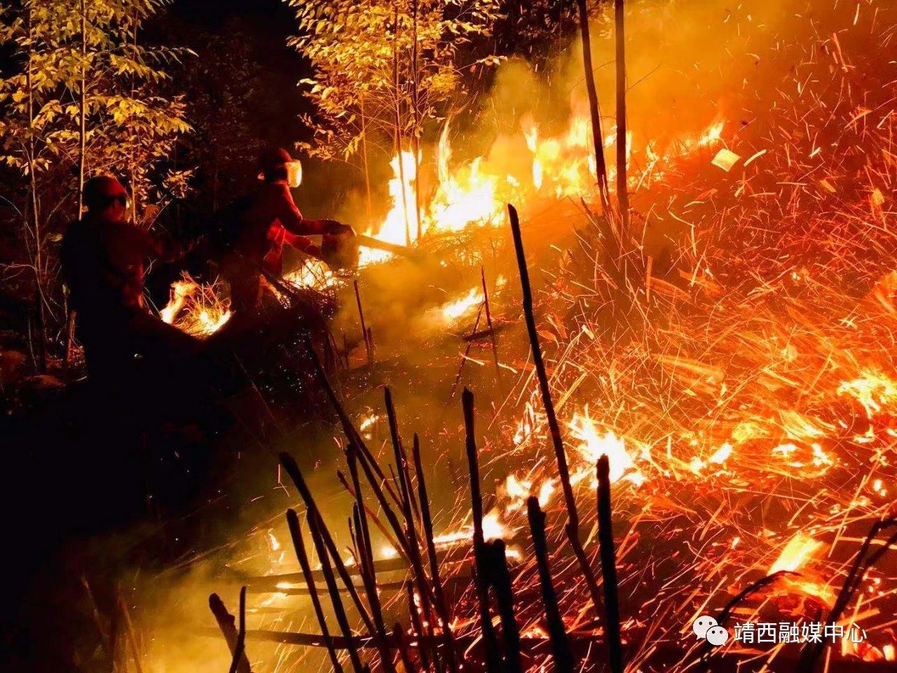 靖西某村发生森林火灾！ 靖西,发生,生森,森林,森林火灾