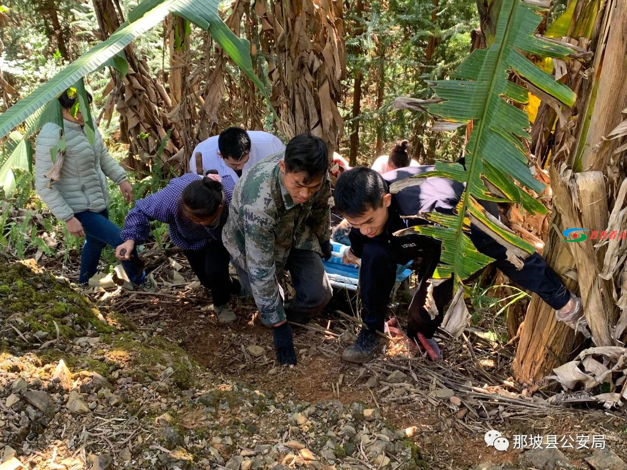 赞！那坡百都边境派出所民警及时救助车祸受伤群众！ 那坡,边境,派出,派出所,出所