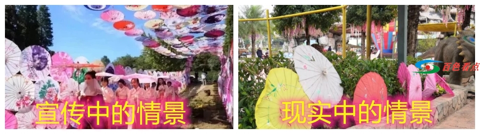 百色侏罗纪恐龙紫藤花主题公园活动涉嫌欺诈 市民发圈获市长关注 百色,侏罗,侏罗纪,侏罗纪恐龙,罗纪