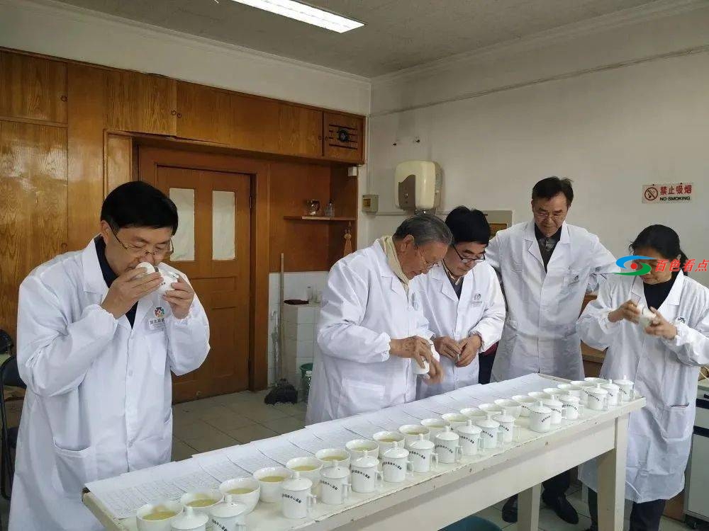 八桂凌云金毫红茶荣获第五届亚太茶茗大奖特别金奖 登顶亚太红茶之巅 八桂,桂凌,桂凌云,凌云,云金