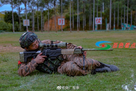 火力全开！直击武警广西总队特战队员实弹射击训练 火力,火力全开,全开,直击,武警