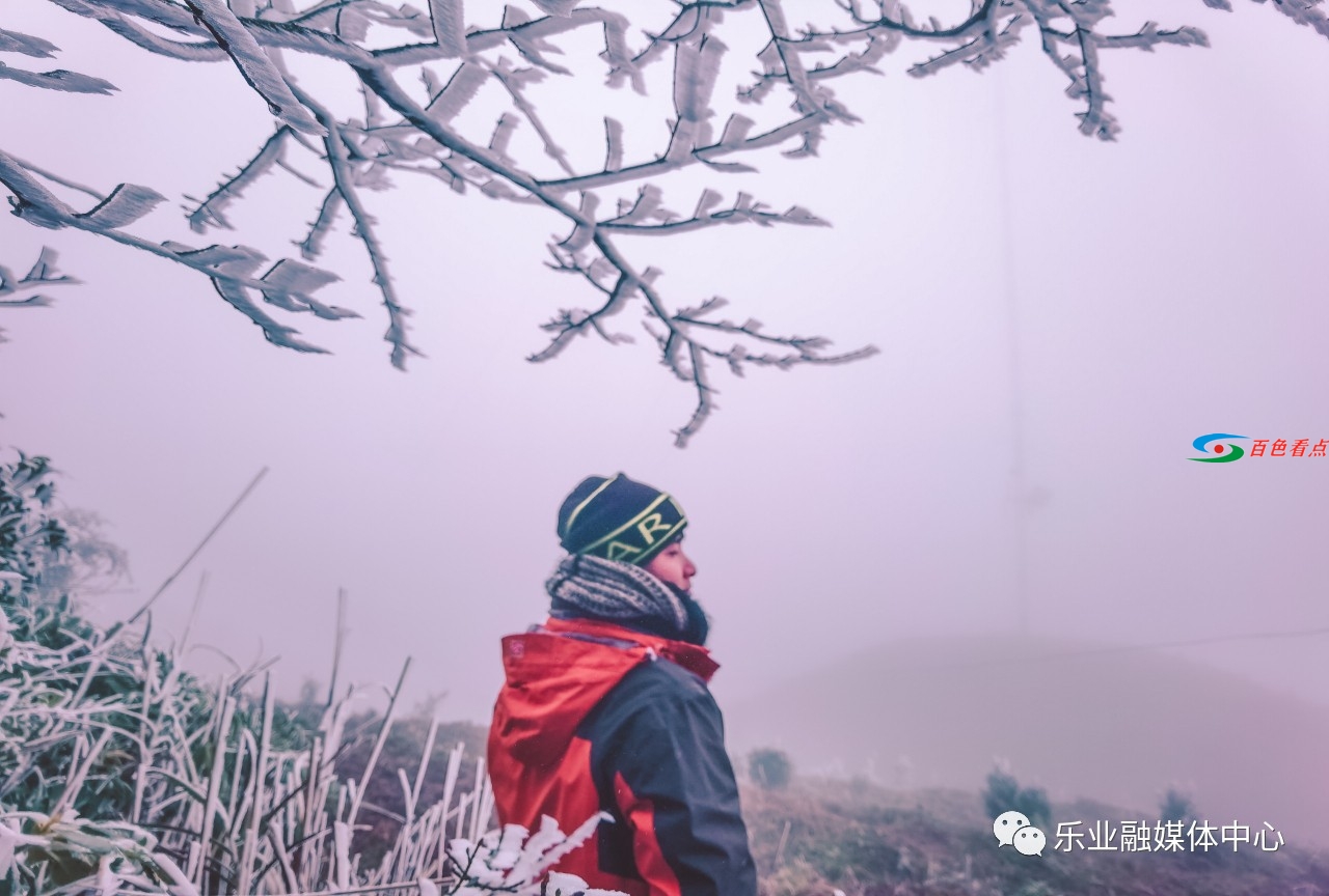 气温接近冰点，乐业县高山地带出现雾凇美景 气温,接近,冰点,乐业,乐业县