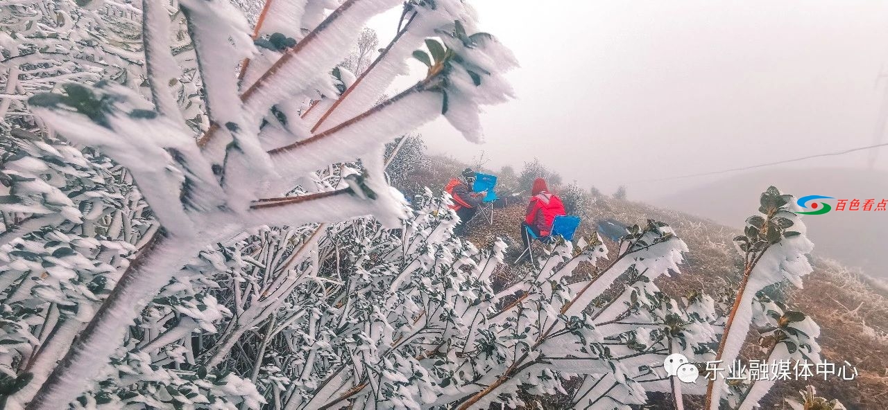 气温接近冰点，乐业县高山地带出现雾凇美景 气温,接近,冰点,乐业,乐业县