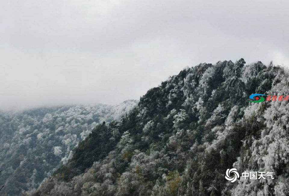 百色田林岑王老山出现冰冻 漫山树叶裹冰层 百色,田林,林岑,王老,老山