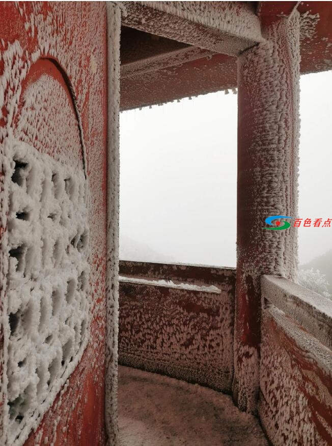 当原始森林遇上雾凇，百色田林岑王老山会有怎样的景色？ 原始,原始森林,森林,林遇,遇上