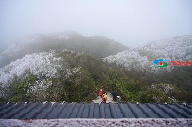 当原始森林遇上雾凇，百色田林岑王老山会有怎样的景色？ 原始,原始森林,森林,林遇,遇上