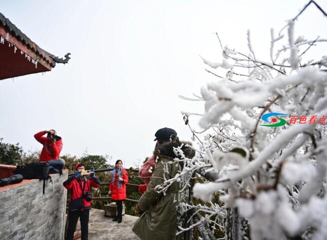 当原始森林遇上雾凇，百色田林岑王老山会有怎样的景色？ 原始,原始森林,森林,林遇,遇上