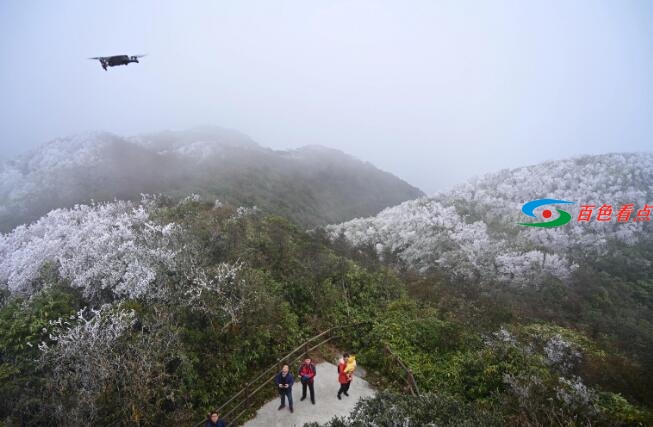 当原始森林遇上雾凇，百色田林岑王老山会有怎样的景色？ 原始,原始森林,森林,林遇,遇上