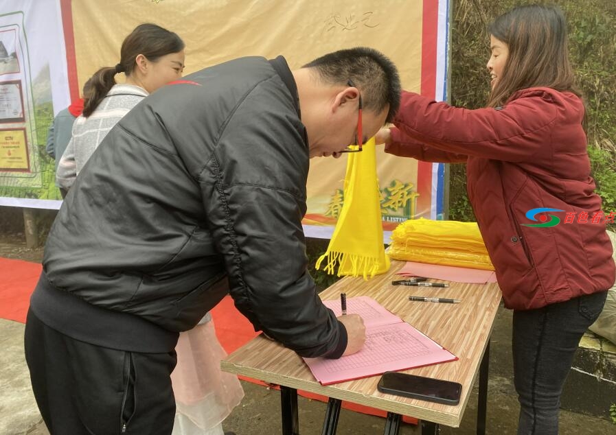 神秘茶叶藏家11.8万元拍走这款广西茶|春茶开采进行时 神秘,茶叶,叶藏,藏家