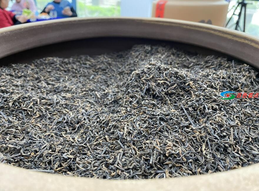 神秘茶叶藏家11.8万元拍走这款广西茶|春茶开采进行时 神秘,茶叶,叶藏,藏家