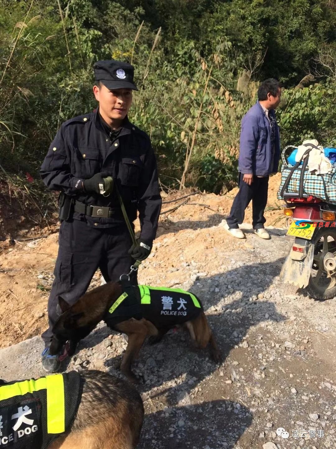 凌云一警务人员帮助救治晕倒女子 凌云,云一,警务,警务人员,人员