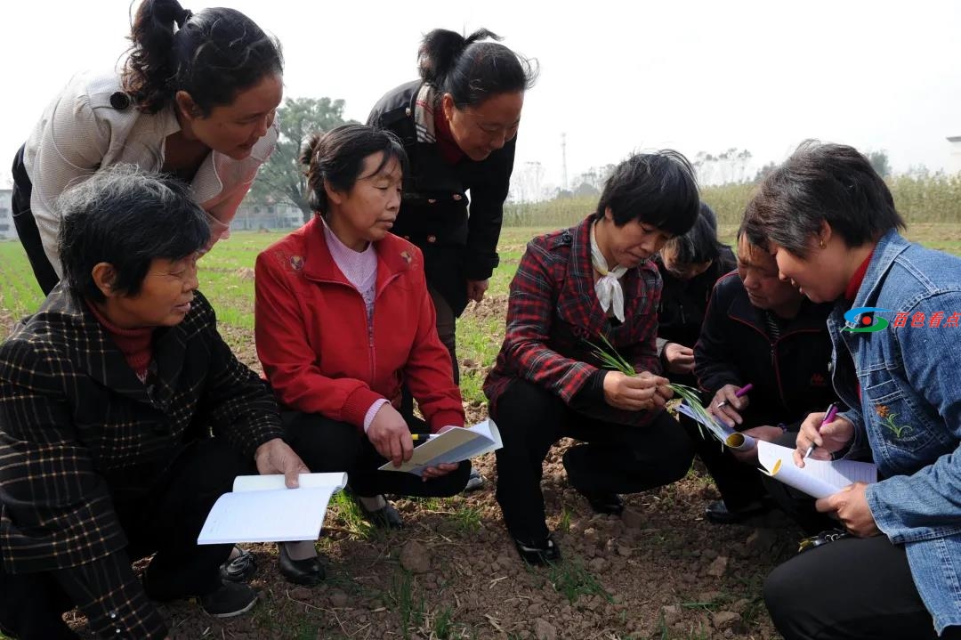 百色文学：我们的故事 | 罗方英 百色,文学,我们,我们的,我们的故事