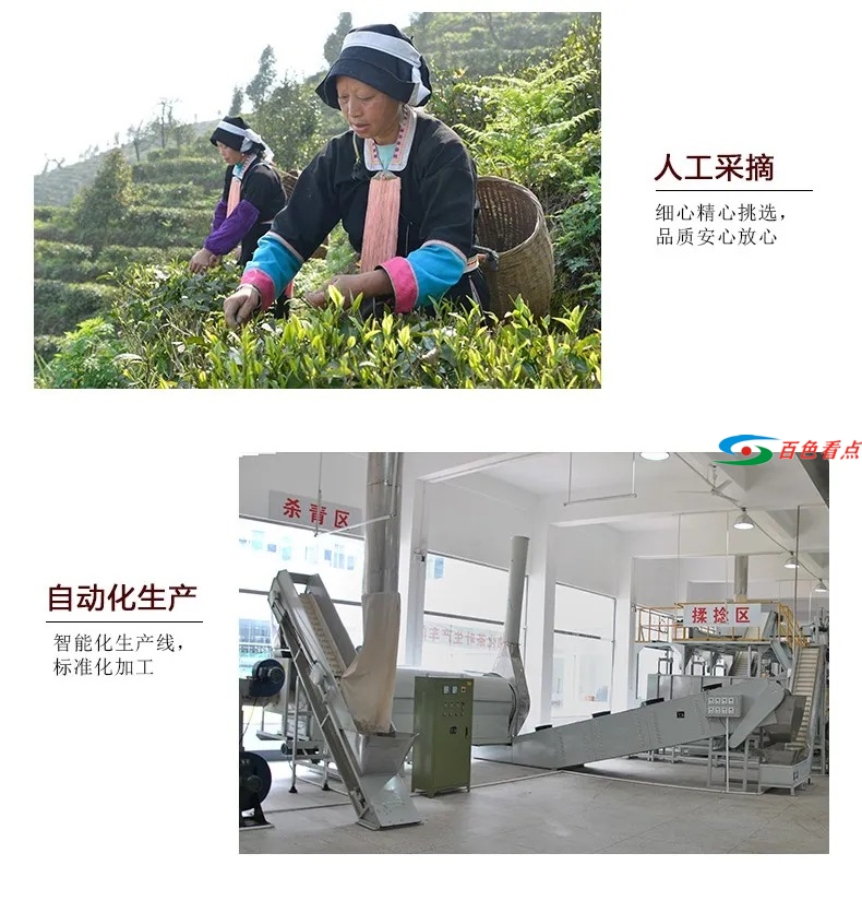 茗茶盛会 八桂凌云翘首以待四方客 茗茶,盛会,八桂,桂凌,桂凌云