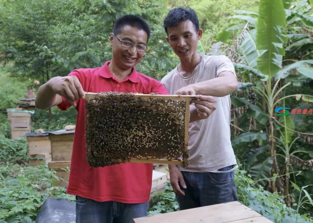 报告文学：李燕燕：初夏，乐业印象 报告,报告文学,告文,文学,李燕