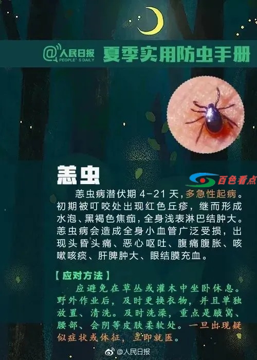 百色人注意！小心这种虫子，有人被咬一口后窒息死亡 百色,百色人,注意,小心,这种