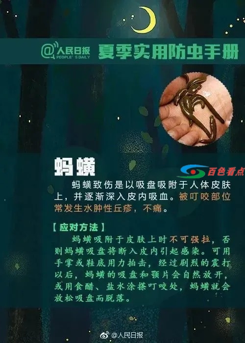 百色人注意！小心这种虫子，有人被咬一口后窒息死亡 百色,百色人,注意,小心,这种