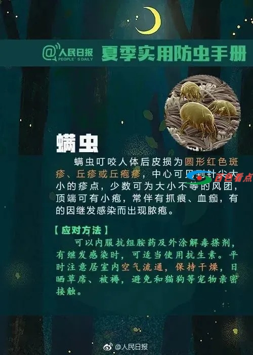 百色人注意！小心这种虫子，有人被咬一口后窒息死亡 百色,百色人,注意,小心,这种