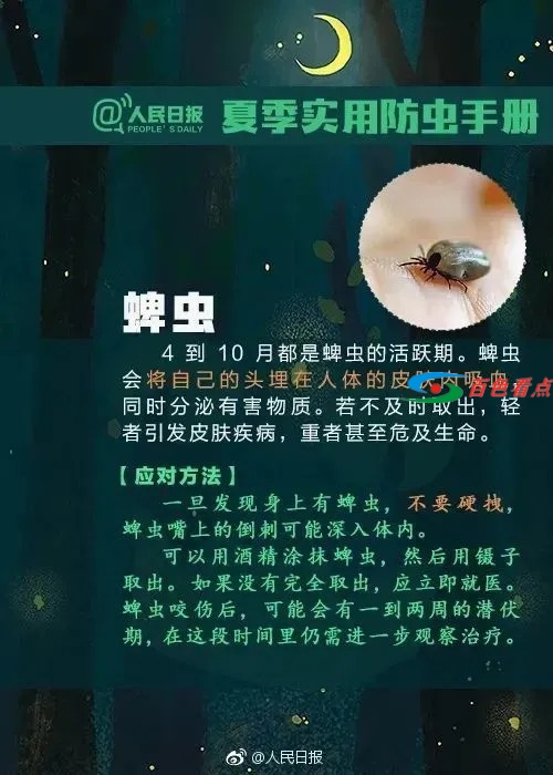 百色人注意！小心这种虫子，有人被咬一口后窒息死亡 百色,百色人,注意,小心,这种