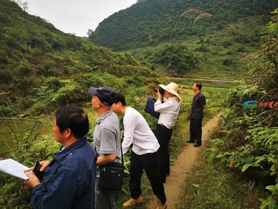 靖西一村民烧杂草不小心把人家的八角林烧了… 靖西,西一,西一村,一村,村民