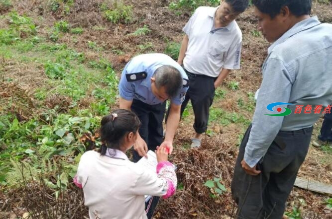 百色田林：八角林地界线不明？司法干警耐心调解促和谐 百色,田林,八角,林地,地界