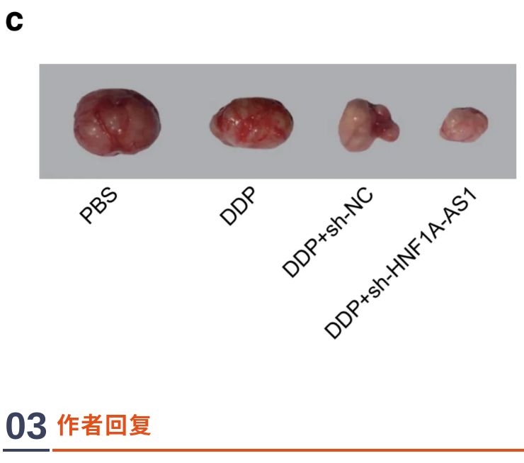 百色右医附院论文受到质疑，多处图疑“人为”合成 百色,右医,右医附院,附院,论文