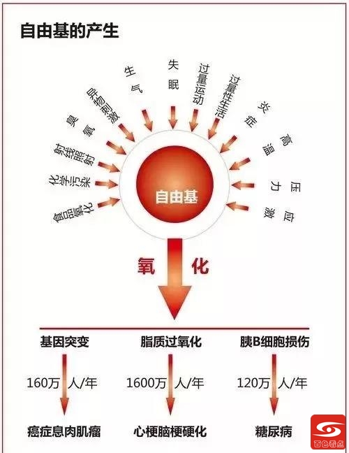 论茶中的茶多酚对人体的作用 中的,茶多酚,多酚,对人,人体