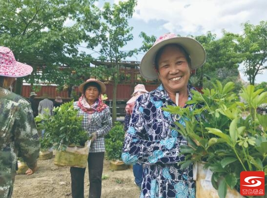 与城市共成长 筑造品牌价值——碧桂园桂西区域深耕百色十年发展纪实 与城,城市,成长,筑造,品牌