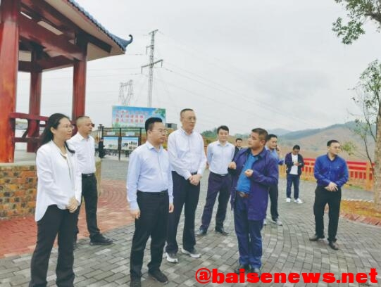 给山林荒坡“添绿” 为百姓致富“加油” ——百色市大力发展百万亩油茶产业纪实 山林,林荒,荒坡,百姓,致富