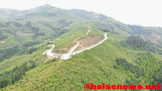 给山林荒坡“添绿” 为百姓致富“加油” ——百色市大力发展百万亩油茶产业纪实 山林,林荒,荒坡,百姓,致富