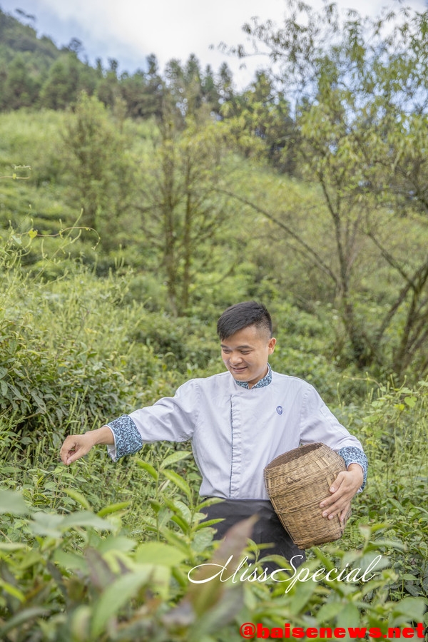 百色：边境之城的百般颜色，采茶游湖尽享民族风情 百色,边境,之城,百般,颜色