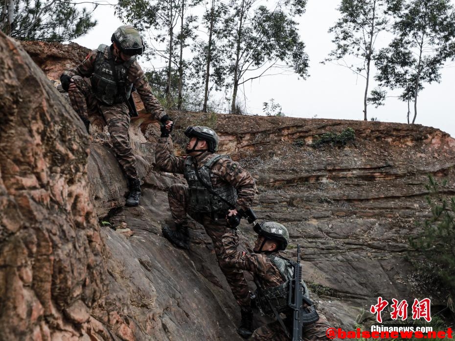 直击广西百色武警野外反恐演练 锻造维稳利刃 直击,广西,广西百色,西百,百色