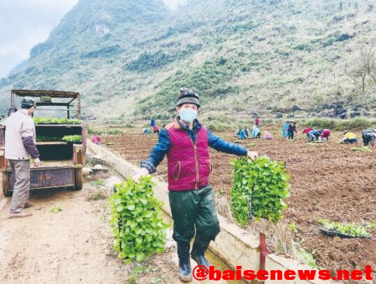 正值春耕春种时节，平果市海城乡全力组织复工复产 正值,春耕,耕春,春种,时节