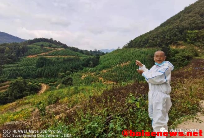 百色西林警方跨省追逃，破获10起特大滥伐林木案 百色,西林,林警,警方,跨省