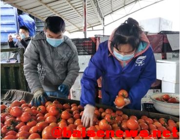 百色全市降为低风险地区  经济社会发展稳步恢复 百色,全市,风险,险地,地区