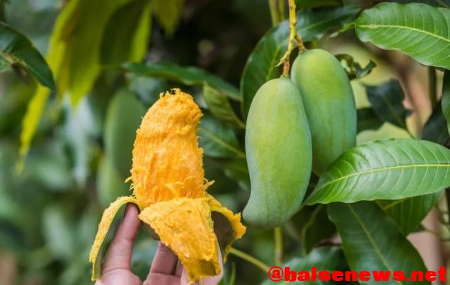 有一种色彩叫百色！疫情已过，欢迎远方的游客 一种,色彩,百色,疫情,欢迎