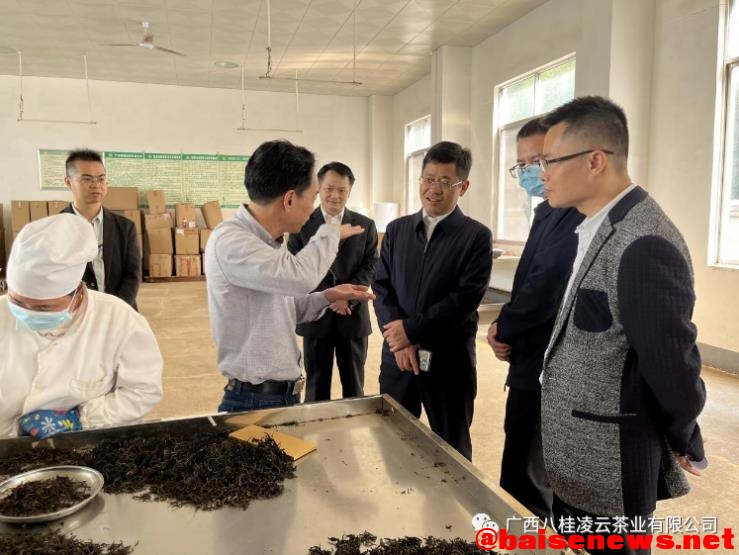 百色市中院领导到八桂凌云茶业公司开展产业复工调研活动 百色,百色市,市中,中院,领导