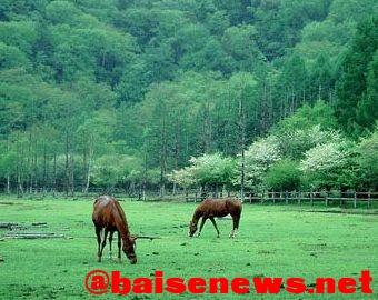 [转载]我们，豪迈走进那片春野（散文诗组六章） 转载,我们,豪迈,走进,春野