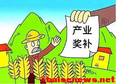 右江区出台2022年产业奖补措施  推进乡村振兴 右江,右江区,江区,出台,2022