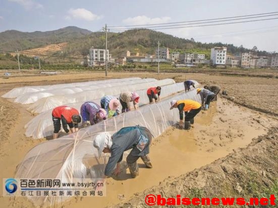 西林：田园春潮涌 处处新希望  右江日报社签约摄影师视觉 西林,田园,园春,春潮,潮涌