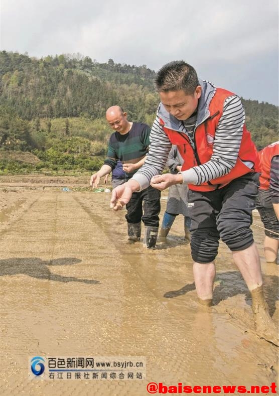 西林：田园春潮涌 处处新希望  右江日报社签约摄影师视觉 西林,田园,园春,春潮,潮涌