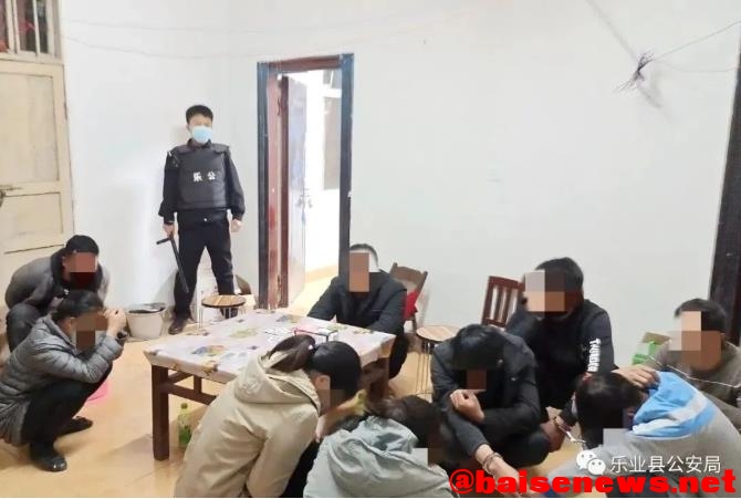 乐业警方深夜抓赌  9人落网 乐业,警方,深夜,抓赌,落网