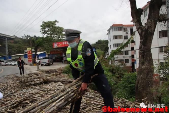 货车侧翻甘蔗撒落一地 田林公安交警化身“搬运工” 货车,侧翻,甘蔗,撒落,一地