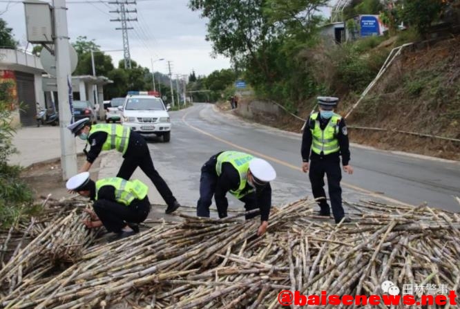 货车侧翻甘蔗撒落一地 田林公安交警化身“搬运工” 货车,侧翻,甘蔗,撒落,一地