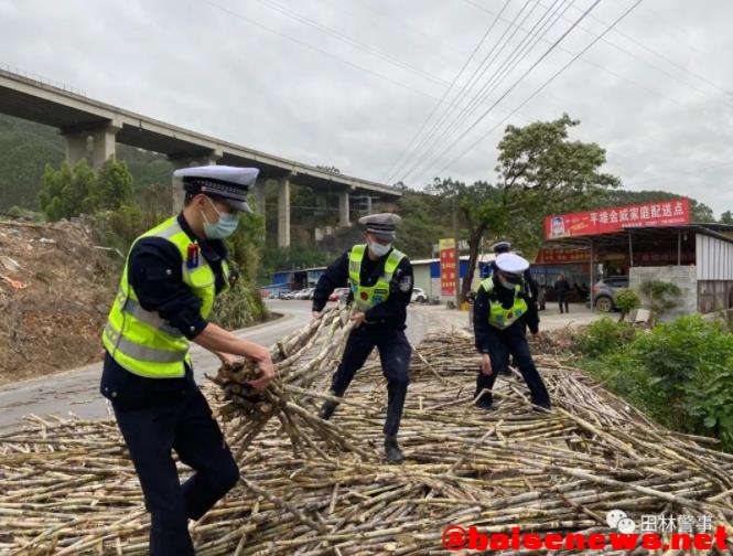 货车侧翻甘蔗撒落一地 田林公安交警化身“搬运工” 货车,侧翻,甘蔗,撒落,一地