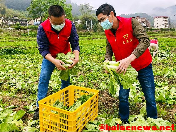 大楞乡：“实”字当先，办好群众事 大楞乡,当先,办好,群众,今年