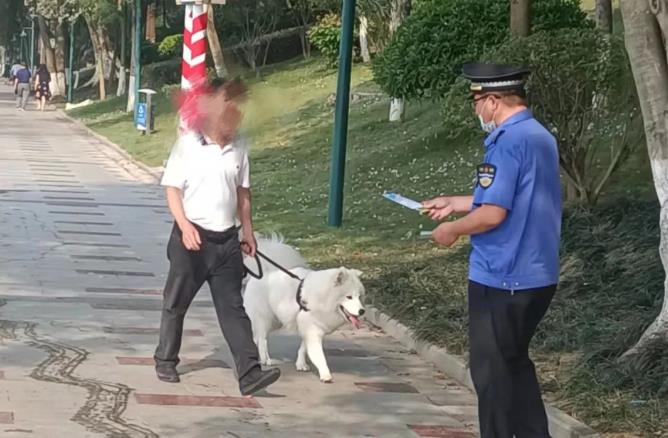 遛狗不牵绳，广场舞噪声扰民……百色对这些行为最高罚500 遛狗,广场,广场舞,噪声,扰民