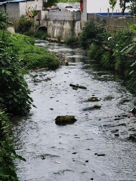 污水横流···整治百色市区那马沟“黑脏臭”，你有何建议？ 污水,横流,··,···,整治